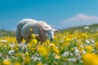 Flock of sheep grazing in a field of yellow flowers under a clear blue sky