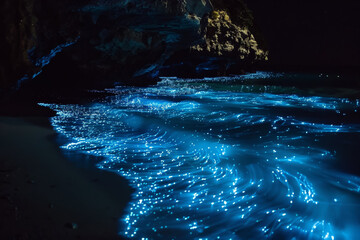 The ocean is lit up with blue lights, creating a serene and calming atmosphere