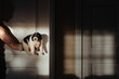 © itla/Stocksy - artsy puppy light