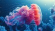   A tight shot of a jellyfish in a blue-pink seascape, surrounded by corals below