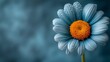   A blue background hosts a close-up of a blue-orange flower Petals bear water drops