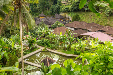 Canvas Print - Garden in Pura Goa Gajah, Bali, Indonesia