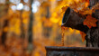 A close-up of a maple tree trunk with a tap inserted, dripping golden sap into a metal bucket against a backdrop of vibrant autumn foliage, symbolizing the start of the maple syrup