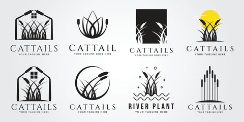 Wall Mural - set bundle cattails plant silhouette logo vector illustration design