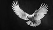 Elegant white dove soaring its feathers detailed and luminous contrasted dramatically with the deep black backdrop embodying freedom