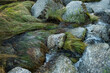 © Olga Moreira/Stocksy - Stones, grass and mountain river