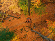 © Yakov Knyazev/Stocksy - Couple of cyclists posing on the fallen leaves in an autumn forrest
