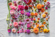 © Melika Tursic/Stocksy - colorful flower background