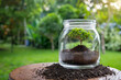 soil and small tree in a jar and green field in the background