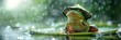 Whimsical illustration of a solitary, anthropomorphic frog wearing a rain hat, seated on a lily pad during a gentle rain shower, exuding a sense of calm and coziness amidst vibrant greenery


