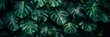 Exotic tropical forest  lush palm leaves and trees in a verdant jungle   panoramic nature wallpaper