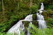 © maxdigi - Steelhead Falls Rapids Mission British Columbia Motion Blur. Water tumbling over Steelhead Falls near Mission BC. Canada.