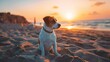 Dog sitting at sand of beach enjoy during sunset landscape. AI generated image