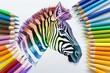 A zebra drawing is surrounded by a rainbow of colored pencils