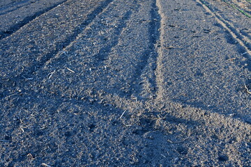 Wall Mural - Plowed Dirt in a Garden