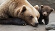 a-bear-cub-cuddled-up-with-its-mother-