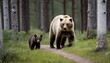a-bear-cub-following-its-mother-through-the-forest-upscaled_10