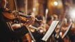 Violinists in an orchestra performing, Concept of classical music, harmony, and the art of performance
