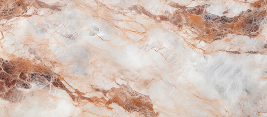 Canvas Print - A detailed closeup of a luxurious brown and white marble texture resembling a mix of bedrock and soil, perfect for flooring or a stunning landscape design