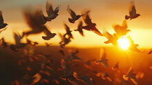 A Flock Of Birds Take Flight Their Feathers Catching The Last Rays Of Sunlight Before Disappearing Into The Dusky Horizon. . .