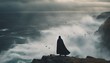 A lone figure stands on a windswept cliff overlooking a stormy sea. Their cloak billows dramatically, transforming into a flock of birds taking flight.