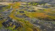 A birds eye view of a landscape dotted with small patches of green and wildflowers signaling the beginning of regrowth after a fire.