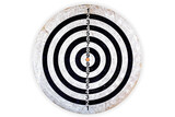 Fototapeta  - The darts isolated on a white background