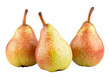 set of three natural pear fruit on transparent background