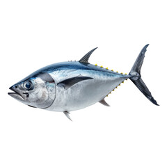 tuna fish isolated on transparent background With clipping path. cut out. 3d render