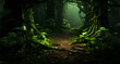 an image of a dark forest with plants