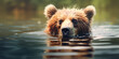 dog playing in water, Bear catches salmon in fastflowing river, A brown bear wades through wilderness wate, Generative AI