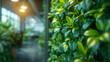 Detailed view of a green wall in an office space, improving air quality and mood,