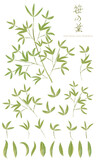 Fototapeta Sypialnia - 笹の葉の素材セット