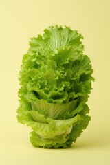 Wall Mural - Fresh lettuce on coloured background.