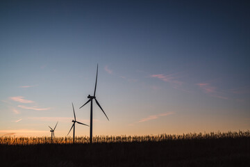 Wall Mural - Wind turbines generating renewable energy at sunrise, Iowa, USA