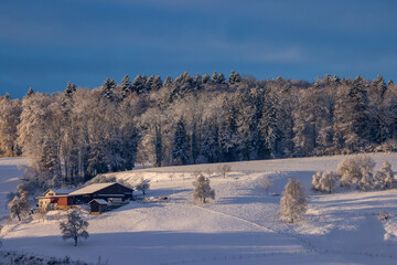 Wall Mural - wintry landscape of canton aargau in switzerland