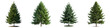 Evergreen tree png collection in 3d transparent for product presentation.