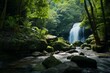 a lush tropical forest with a waterfall and a river