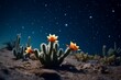 A cactus in the desert with a starry night sky