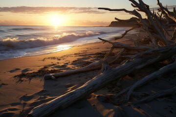 Wall Mural - a beach with driftwood, with the sun setting in the distance, the driftwood scattered along the shor