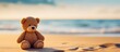 A cute teddy bear toy sits alone on the sandy beach, with the vast ocean stretching out in the background