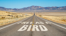 FREE AS A BIRD Written On A Long Stretch Of Desert Highway