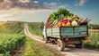 Truck loaded with harvest in the country. Pictorial landscape