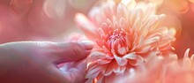 A digital artwork capturing the gentle touch of fingertips on a delicate flower , stock photographic, no contrast, clean sharp focus