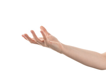 Wall Mural - young woman hand holding something from below isolated on white background