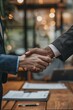 © Tadeusz - Professional Handshake Indoors Close-Up