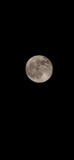 Fototapeta  - full moon over black