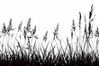 © furyon - Nature's Silhouette Tall Meadow Grass Cutout on White Background