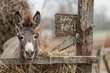 jovial donkey munching on a bundle of hay, its sign reading 