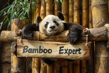 Fototapeta  - laid-back panda reclining against a bamboo backdrop, its sign reading 